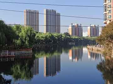 12月黄桑实时，学习变化，自信点亮梦想生活