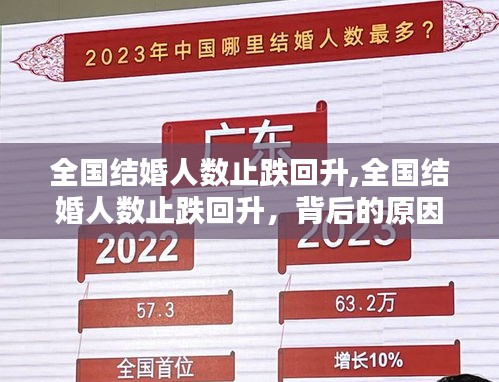 全国结婚人数止跌回升，趋势分析与原因探究