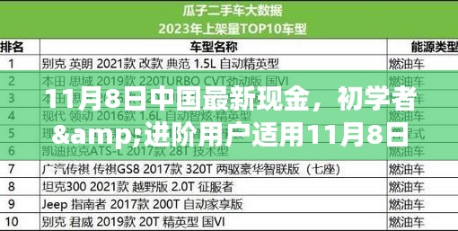 初学者与进阶用户指南，11月8日中国最新现金操作指南及任务完成步骤详解