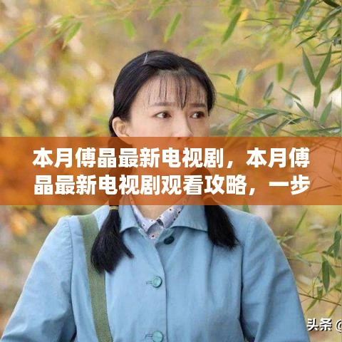 本月傅晶最新电视剧观看指南，轻松追剧的攻略与步骤解析