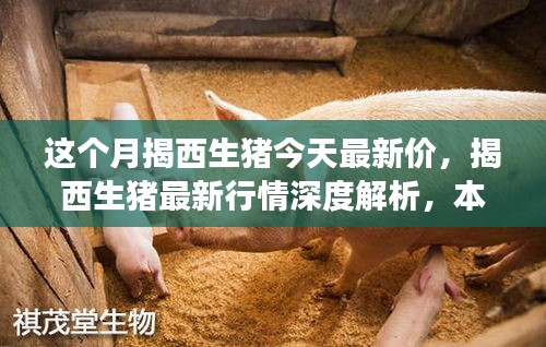 揭西生猪最新行情深度解析，本月市场动态、竞品对比及价格走势揭秘