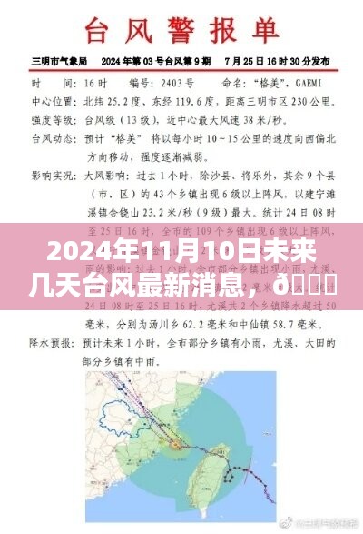 2024年11月10日及未来数日台风动态，最新消息与全面解析