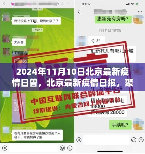 2024年11月10日北京疫情日报，动态更新与防控要点全解析