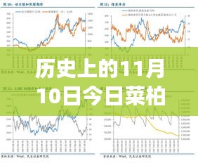 历史上的11月10日，菜柏价格背后的励志故事与最新行情，自信成就感的源泉