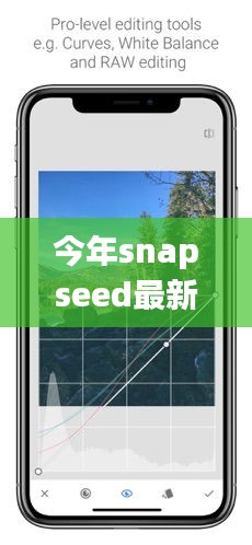 Snapseed最新版下载，回顾发展历程，时代印记下的影响与地位