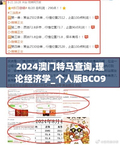 2024澳门特马查询,理论经济学_个人版BCO96.42