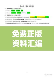 免费正版资料汇编：十点半发布，LZN402.6毛坯版安全评估策略