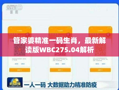 管家婆精准一码生肖，最新解读版WBC275.04解析