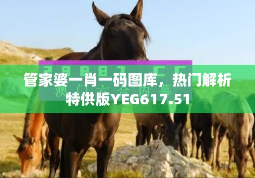 管家婆一肖一码图库，热门解析特供版YEG617.51