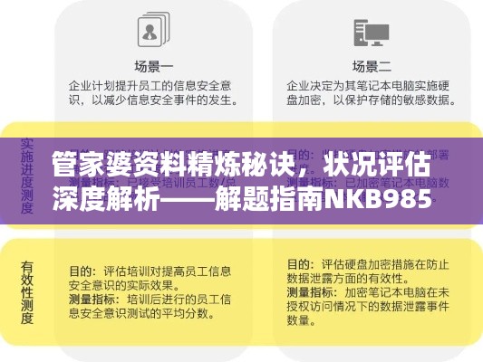 管家婆资料精炼秘诀，状况评估深度解析——解题指南NKB985.33