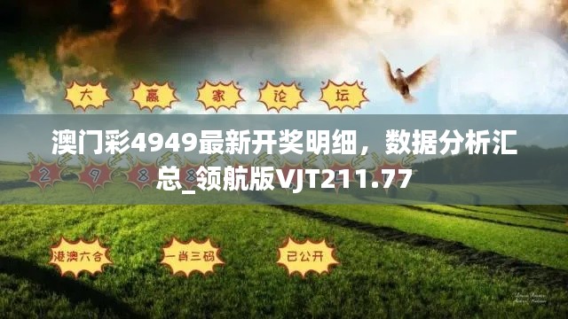 澳门彩4949最新开奖明细，数据分析汇总_领航版VJT211.77