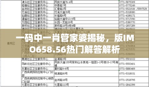 一码中一肖管家婆揭秘，版IMO658.56热门解答解析