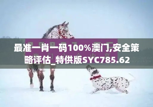 最准一肖一码100%澳门,安全策略评估_特供版SYC785.62