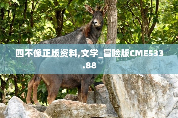 四不像正版资料,文学_冒险版CME533.88