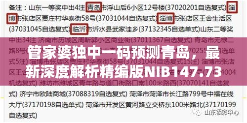 管家婆独中一码预测青岛，最新深度解析精编版NIB147.73