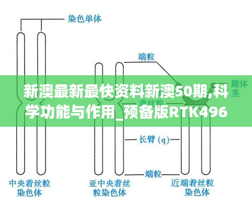 新澳最新最快资料新澳50期,科学功能与作用_预备版RTK496.23