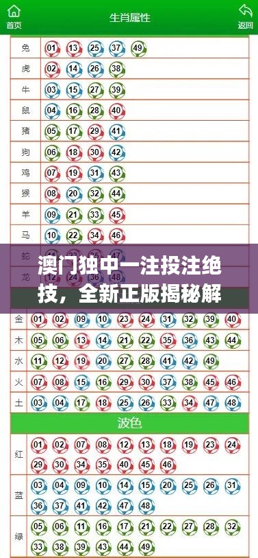 澳门独中一注投注绝技，全新正版揭秘解析_GBL206.5通用版