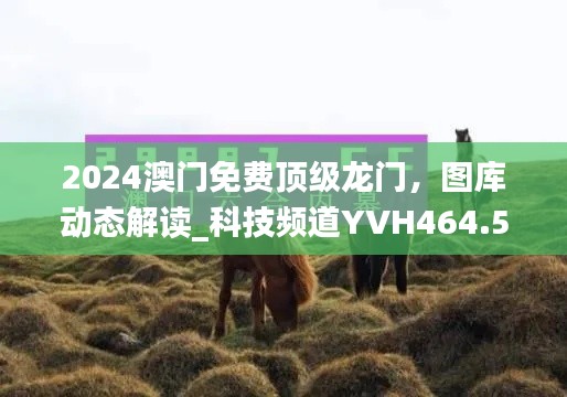 2024澳门免费顶级龙门，图库动态解读_科技频道YVH464.54