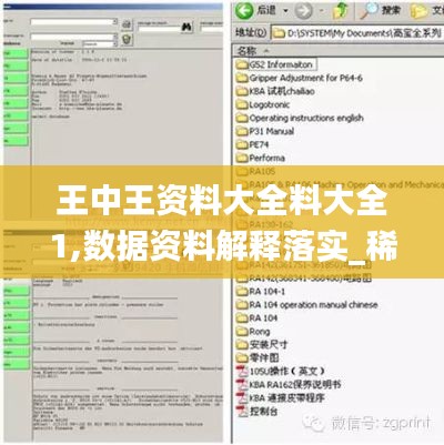 王中王资料大全料大全1,数据资料解释落实_稀缺版JXH899.23