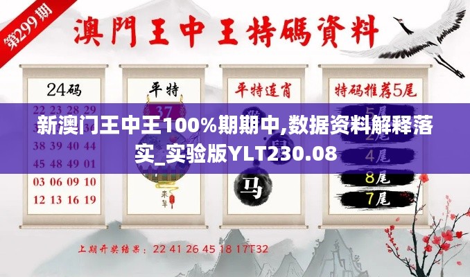 新澳门王中王100%期期中,数据资料解释落实_实验版YLT230.08