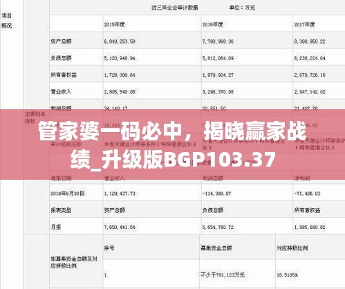 管家婆一码必中，揭晓赢家战绩_升级版BGP103.37