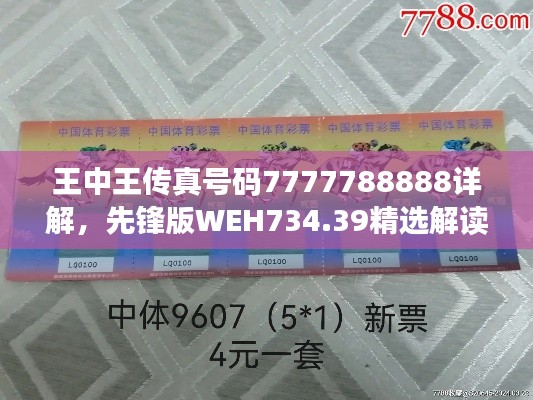 王中王传真号码7777788888详解，先锋版WEH734.39精选解读