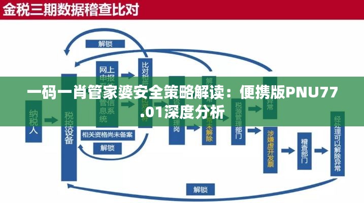 一码一肖管家婆安全策略解读：便携版PNU77.01深度分析