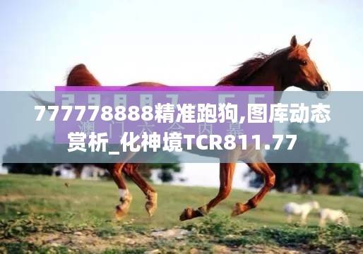 777778888精准跑狗,图库动态赏析_化神境TCR811.77