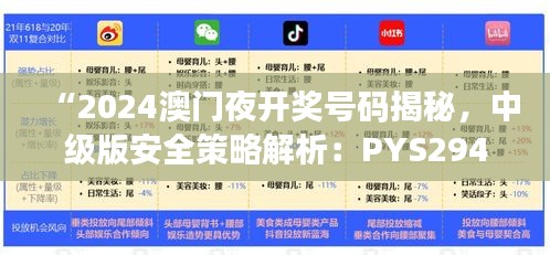 “2024澳门夜开奖号码揭秘，中级版安全策略解析：PYS294.03”