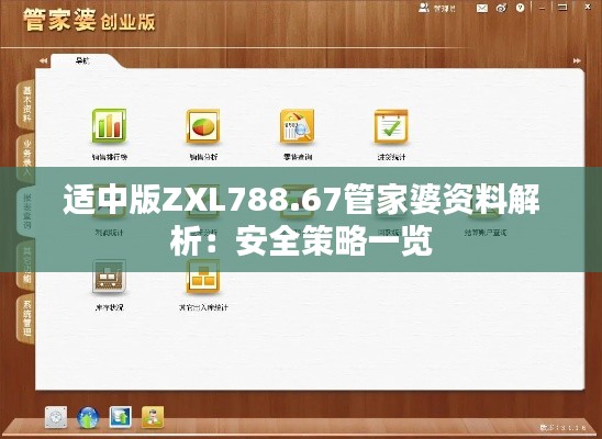 适中版ZXL788.67管家婆资料解析：安全策略一览