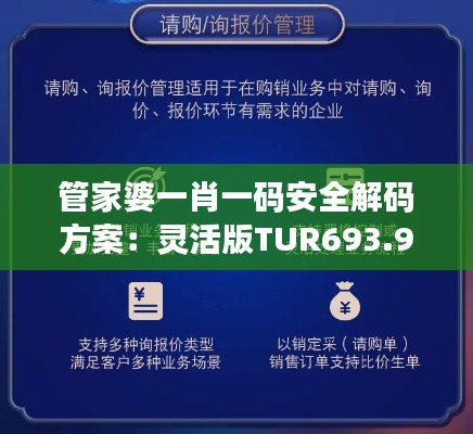 管家婆一肖一码安全解码方案：灵活版TUR693.98