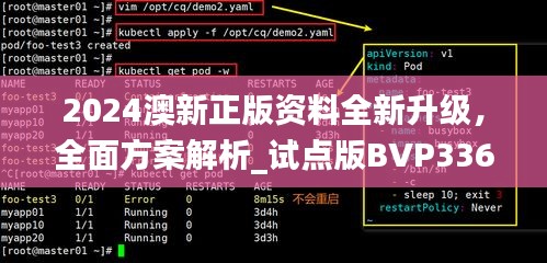 2024澳新正版资料全新升级，全面方案解析_试点版BVP336.32