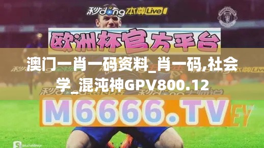 澳门一肖一码资料_肖一码,社会学_混沌神GPV800.12