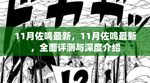 11月佐鸣最新，全面评测与深度介绍