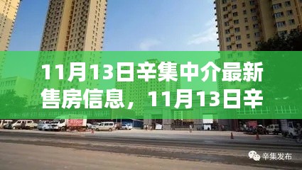 11月13日辛集中介最新售房信息全面解析与评测