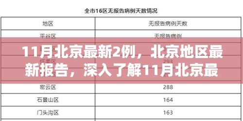 北京地区最新报告，深入了解11月新增两例的产品特性与体验