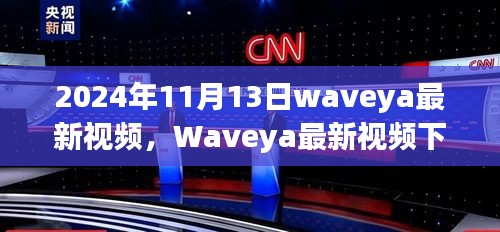 2024年11月13日Waveya最新视频观察，独特视角下的思考