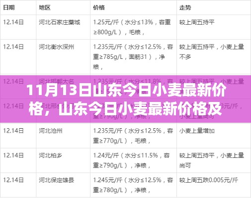 山东今日小麦最新价格及分析——11月13日特辑报道