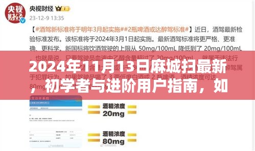 麻城扫最新技能指南，初学者与进阶用户如何掌握