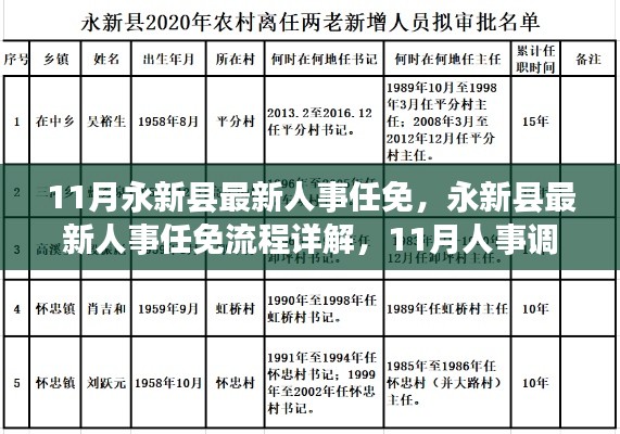 永新县人事任免全解析，最新人事调整流程详解与攻略