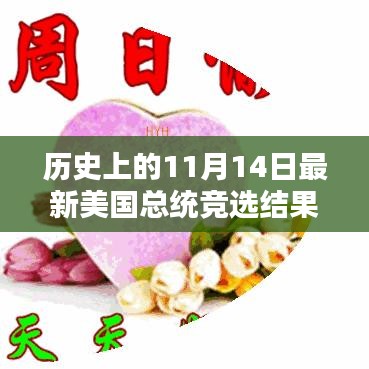 历史上的11月14日美国总统竞选结果深度解析与回顾