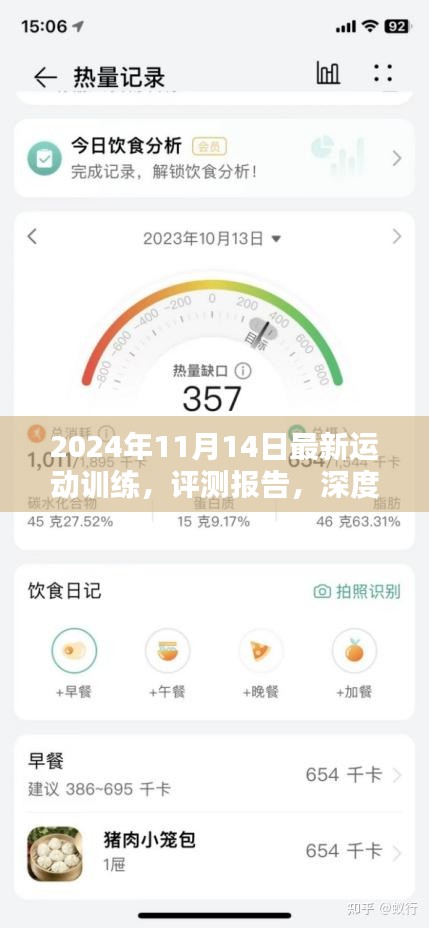 深度解析，最新运动训练系统实战表现与用户体验评测报告（2024年11月）