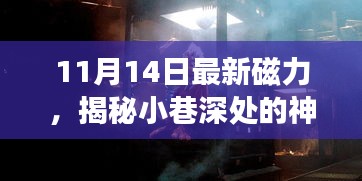 揭秘神秘宝藏，11月14日最新磁力小巷小店探秘之旅