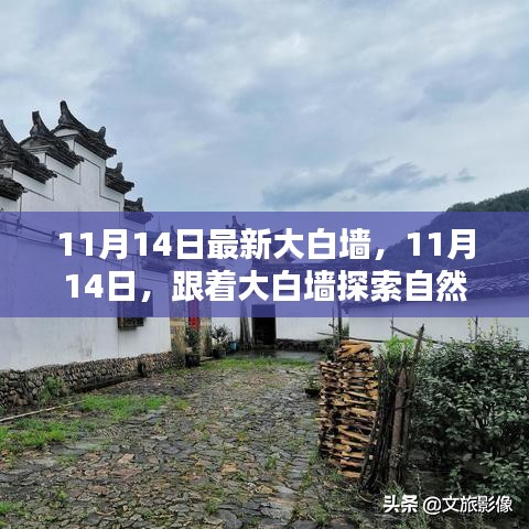 11月14日大白墙引领自然秘境之旅，探索内心宁静与平和的奥秘