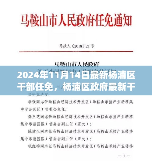 杨浦区政府最新干部任免动态，聚焦新任干部及未来展望（更新至2024年）