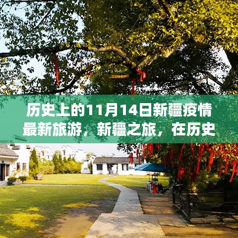 历史的11月14日，新疆疫情最新旅游动态与心灵之旅的宁静与奇迹探寻