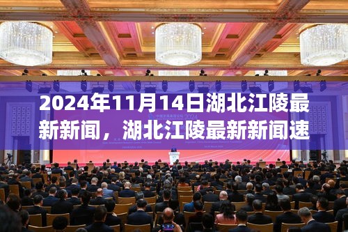 湖北江陵最新新闻速递，聚焦三大要点（2024年11月14日）