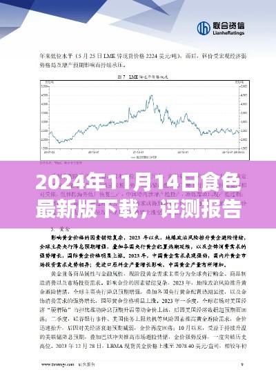 深度评测报告，2024年食色最新版下载解析