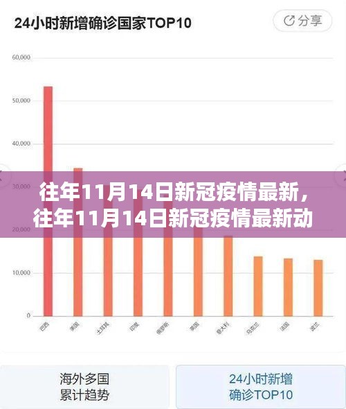 往年11月14日新冠疫情最新动态概览及要点解析