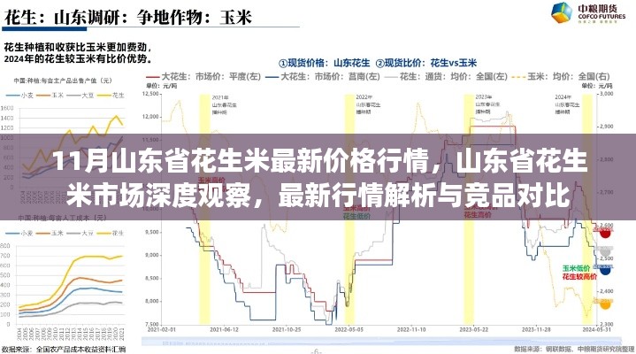 11月山东省花生米最新价格行情，山东省花生米市场深度观察，最新行情解析与竞品对比